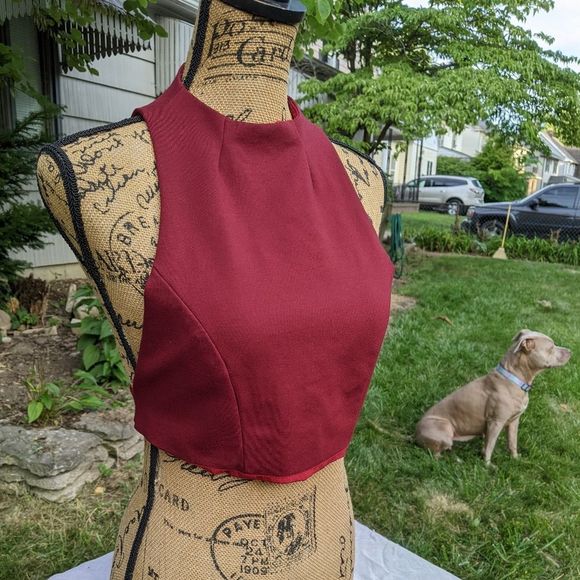Tobi Tops - Backless Full Zip Maroon Red Tailored Crop Top, TOBI, Size M, NWOT